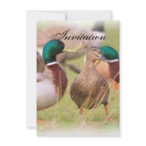 Duck Party Announcement Invitation