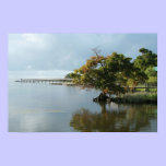Duck Pier (OBX) Print posters