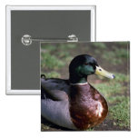 Duck Pin