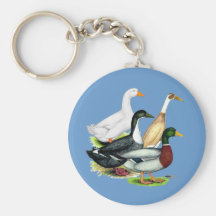 Duck Quartet Key Chain