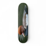 duck skateboard
