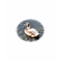 Duck T-Shirt