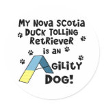 Duck Toller Agility Dog Round Stickers