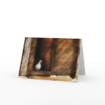 Duck - Welcome to my Home cards