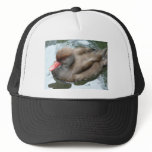 duck with red beak hats