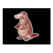 duckbill platypus postcards