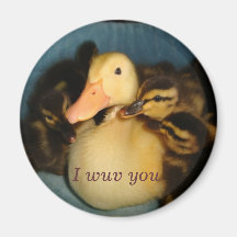 Duckie magnet
