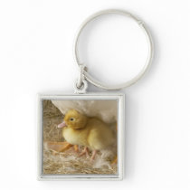 Duckling between mother's legs key chain