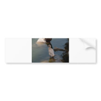 Duckling bumper sticker