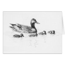 Duckling cards