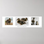 "Duckling Collection", White posters