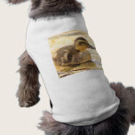 Duckling pet clothing