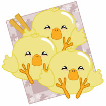 Duckling Dumplings Platter