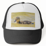 Duckling hats