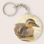 Duckling keychains