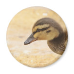 Duckling magnets