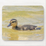 Duckling mousepads