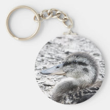 Duckling Painting Photograph Key Chain