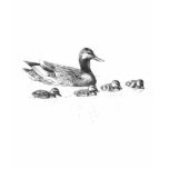 Duckling T-Shirt