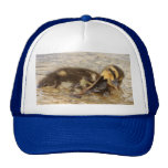 Duckling Trucker Hat