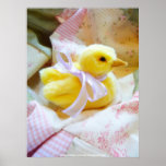 Duckling with Bow - Wall Poster