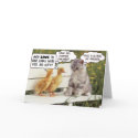 Ducklings and Kitten cards