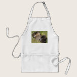 Ducklings aprons