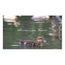 Ducklings business card