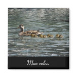Ducklings in a row - Mum Rules