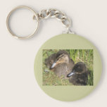 Ducklings keychains