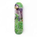 Ducklings On The Grass skateboards