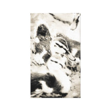 Ducklings Stretched Canvas Print