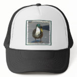 ducks 002ss hats