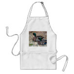 Ducks Apron