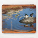 DUCKS AT JOSHUA mousepads