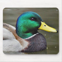 Ducks Bills Mousepad