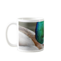 Ducks Bills Mugs