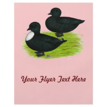 Ducks:  Black Calls Full Color Flyer