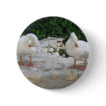 Ducks Pinback Buttons
