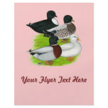 Ducks:  Call Quartet flyers