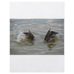 ducks diving flyer