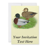 Ducks:  Grey Calls invitations