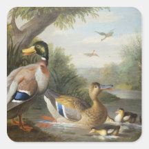Ducks in a River Landscape Stickers