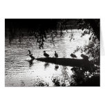 Ducks in A Row Cards