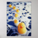 Ducks in a Row posters