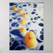 Ducks in a Row Posters
