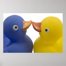Ducks in love - poster posters