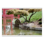 Ducks in the Shade cards