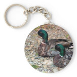 Ducks Keychain
