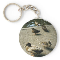 Ducks Key Chain
